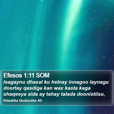 Efesos 1:11 SOM Bible Verse Image