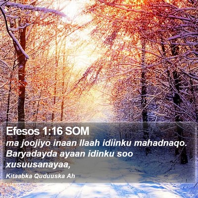 Efesos 1:16 SOM Bible Verse Image