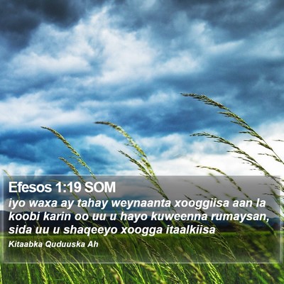 Efesos 1:19 SOM Bible Verse Image
