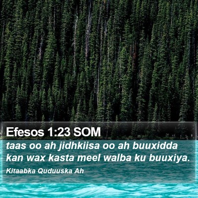 Efesos 1:23 SOM Bible Verse Image