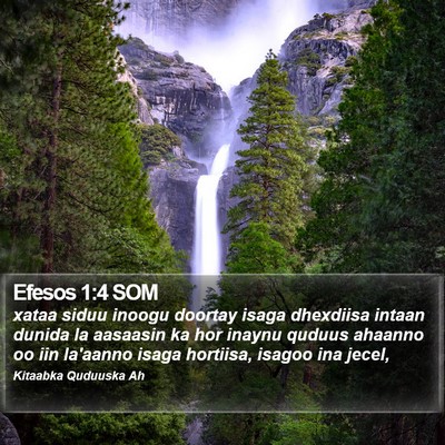 Efesos 1:4 SOM Bible Verse Image