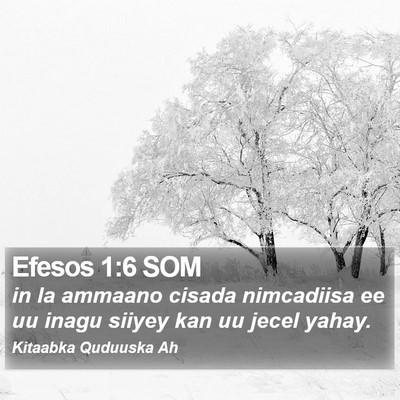 Efesos 1:6 SOM Bible Verse Image