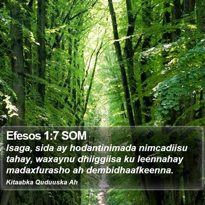 Efesos 1:7 SOM Bible Verse Image