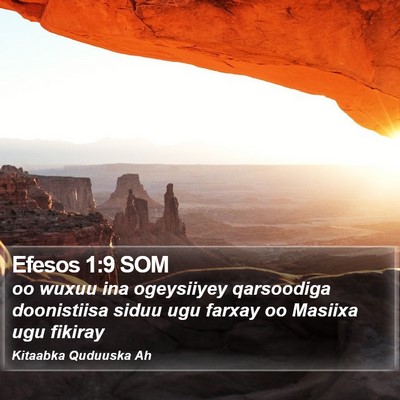 Efesos 1:9 SOM Bible Verse Image