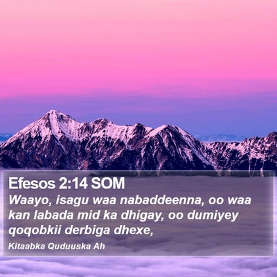 Efesos 2:14 SOM Bible Verse Image