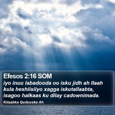 Efesos 2:16 SOM Bible Verse Image