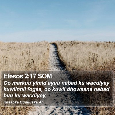 Efesos 2:17 SOM Bible Verse Image