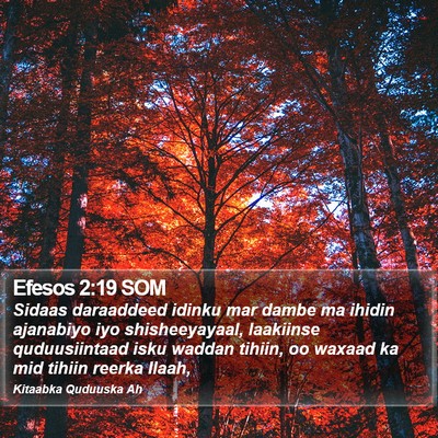 Efesos 2:19 SOM Bible Verse Image