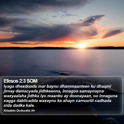 Efesos 2:3 SOM Bible Verse Image