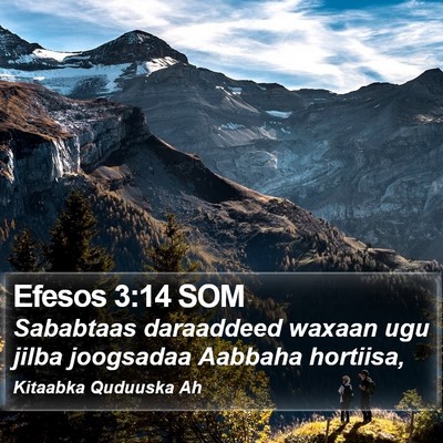 Efesos 3:14 SOM Bible Verse Image