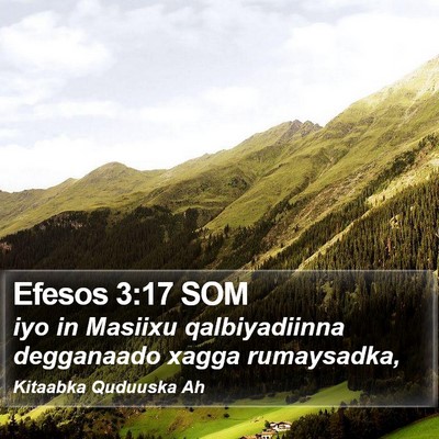 Efesos 3:17 SOM Bible Verse Image