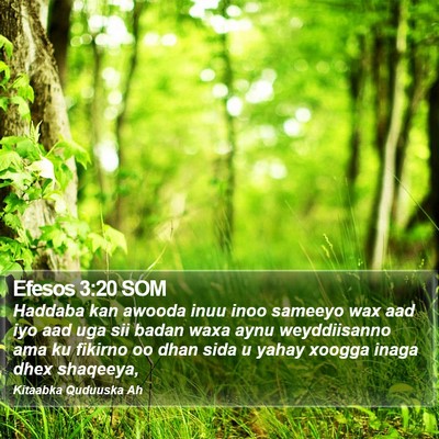 Efesos 3:20 SOM Bible Verse Image