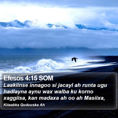 Efesos 4:15 SOM Bible Verse Image