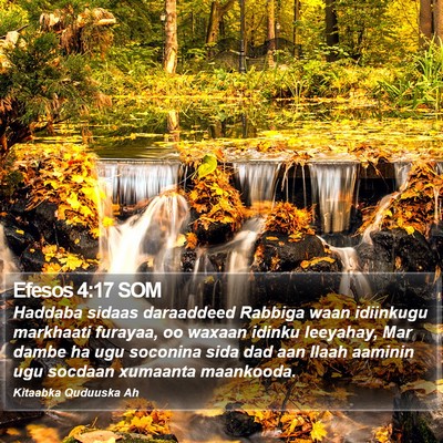 Efesos 4:17 SOM Bible Verse Image