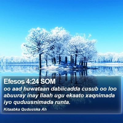 Efesos 4:24 SOM Bible Verse Image