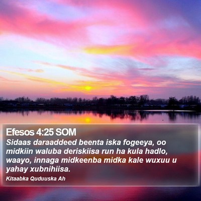 Efesos 4:25 SOM Bible Verse Image
