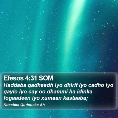 Efesos 4:31 SOM Bible Verse Image