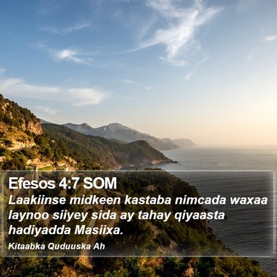 Efesos 4:7 SOM Bible Verse Image