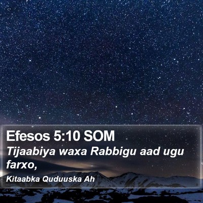 Efesos 5:10 SOM Bible Verse Image