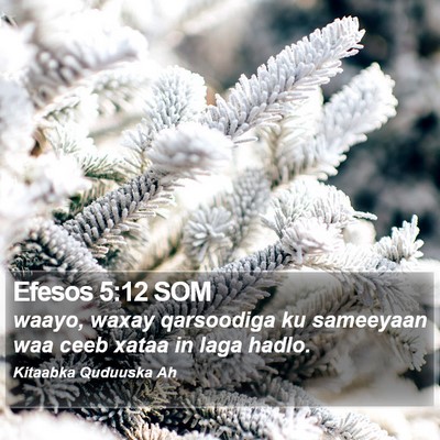 Efesos 5:12 SOM Bible Verse Image