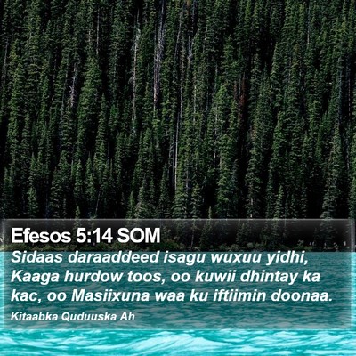 Efesos 5:14 SOM Bible Verse Image