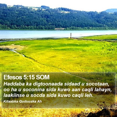 Efesos 5:15 SOM Bible Verse Image