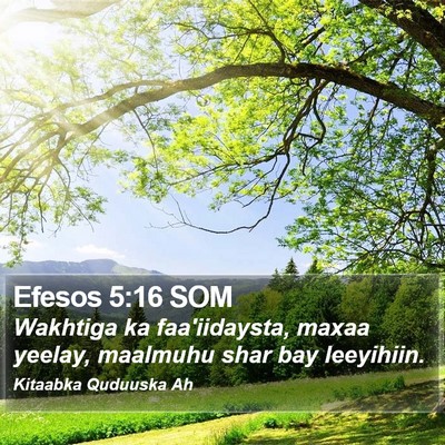 Efesos 5:16 SOM Bible Verse Image
