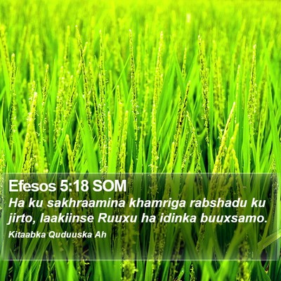 Efesos 5:18 SOM Bible Verse Image