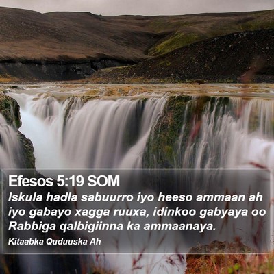 Efesos 5:19 SOM Bible Verse Image