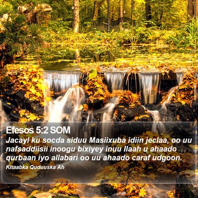 Efesos 5:2 SOM Bible Verse Image