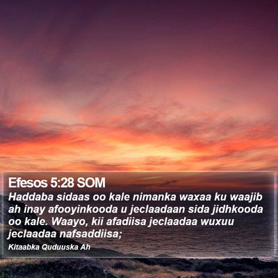 Efesos 5:28 SOM Bible Verse Image