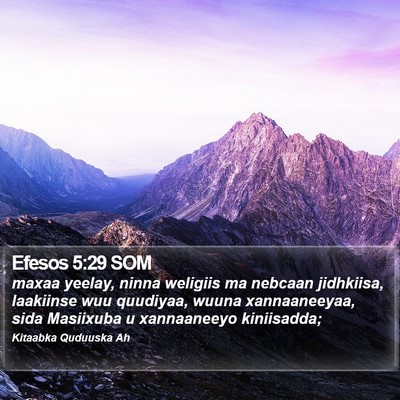 Efesos 5:29 SOM Bible Verse Image