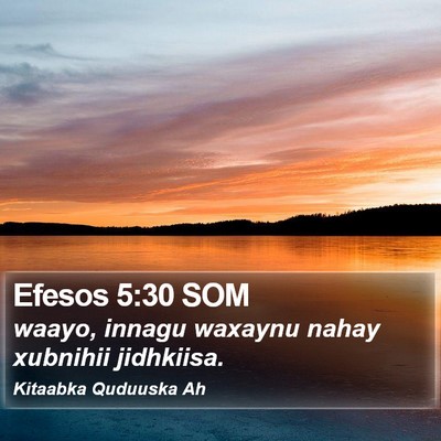 Efesos 5:30 SOM Bible Verse Image