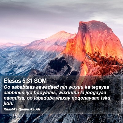 Efesos 5:31 SOM Bible Verse Image