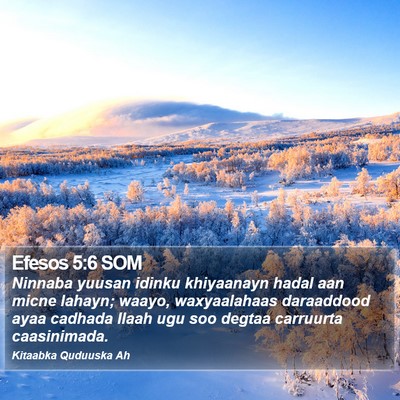 Efesos 5:6 SOM Bible Verse Image