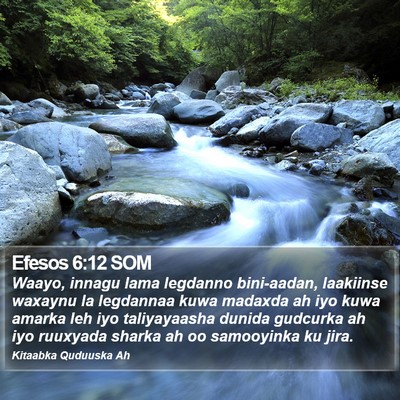 Efesos 6:12 SOM Bible Verse Image