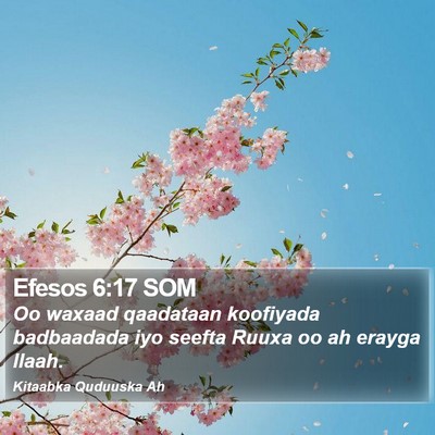 Efesos 6:17 SOM Bible Verse Image