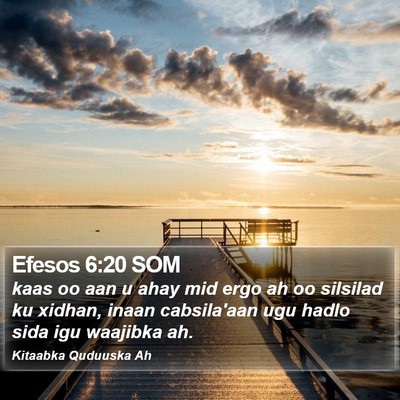 Efesos 6:20 SOM Bible Verse Image
