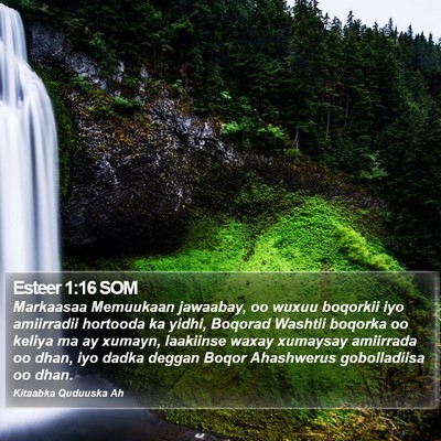 Esteer 1:16 SOM Bible Verse Image