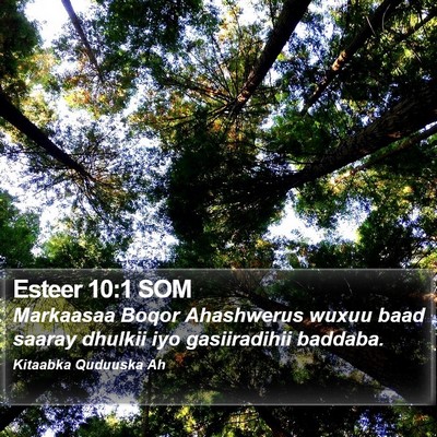 Esteer 10:1 SOM Bible Verse Image