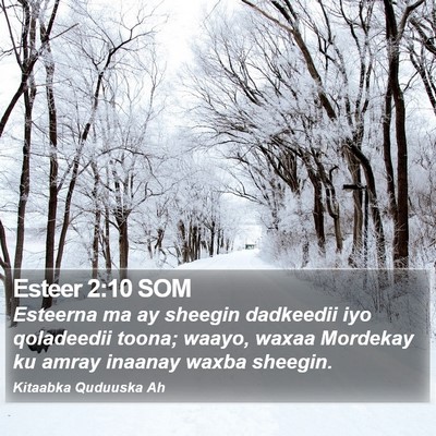 Esteer 2:10 SOM Bible Verse Image