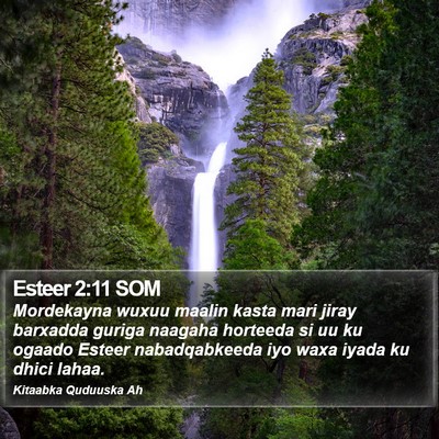 Esteer 2:11 SOM Bible Verse Image
