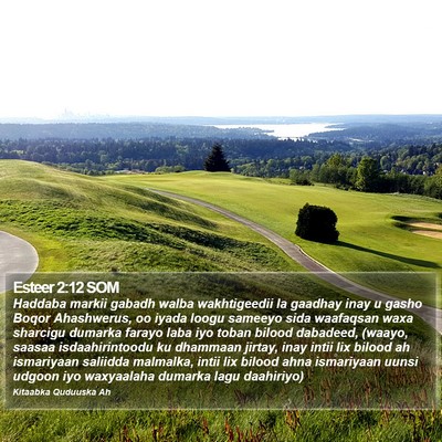 Esteer 2:12 SOM Bible Verse Image