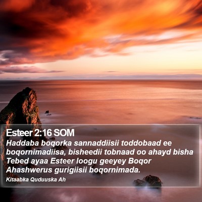 Esteer 2:16 SOM Bible Verse Image