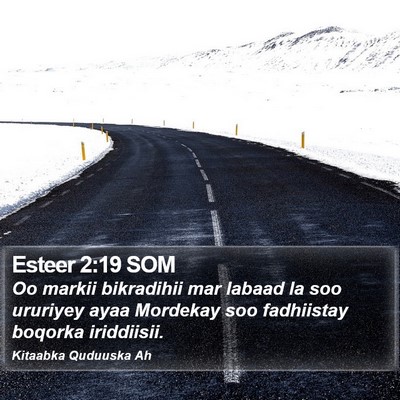 Esteer 2:19 SOM Bible Verse Image