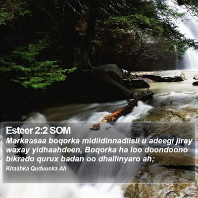 Esteer 2:2 SOM Bible Verse Image