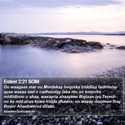 Esteer 2:21 SOM Bible Verse Image