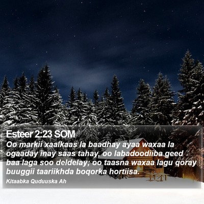 Esteer 2:23 SOM Bible Verse Image