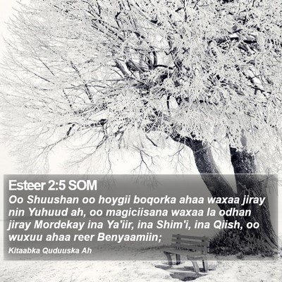 Esteer 2:5 SOM Bible Verse Image