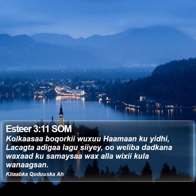 Esteer 3:11 SOM Bible Verse Image